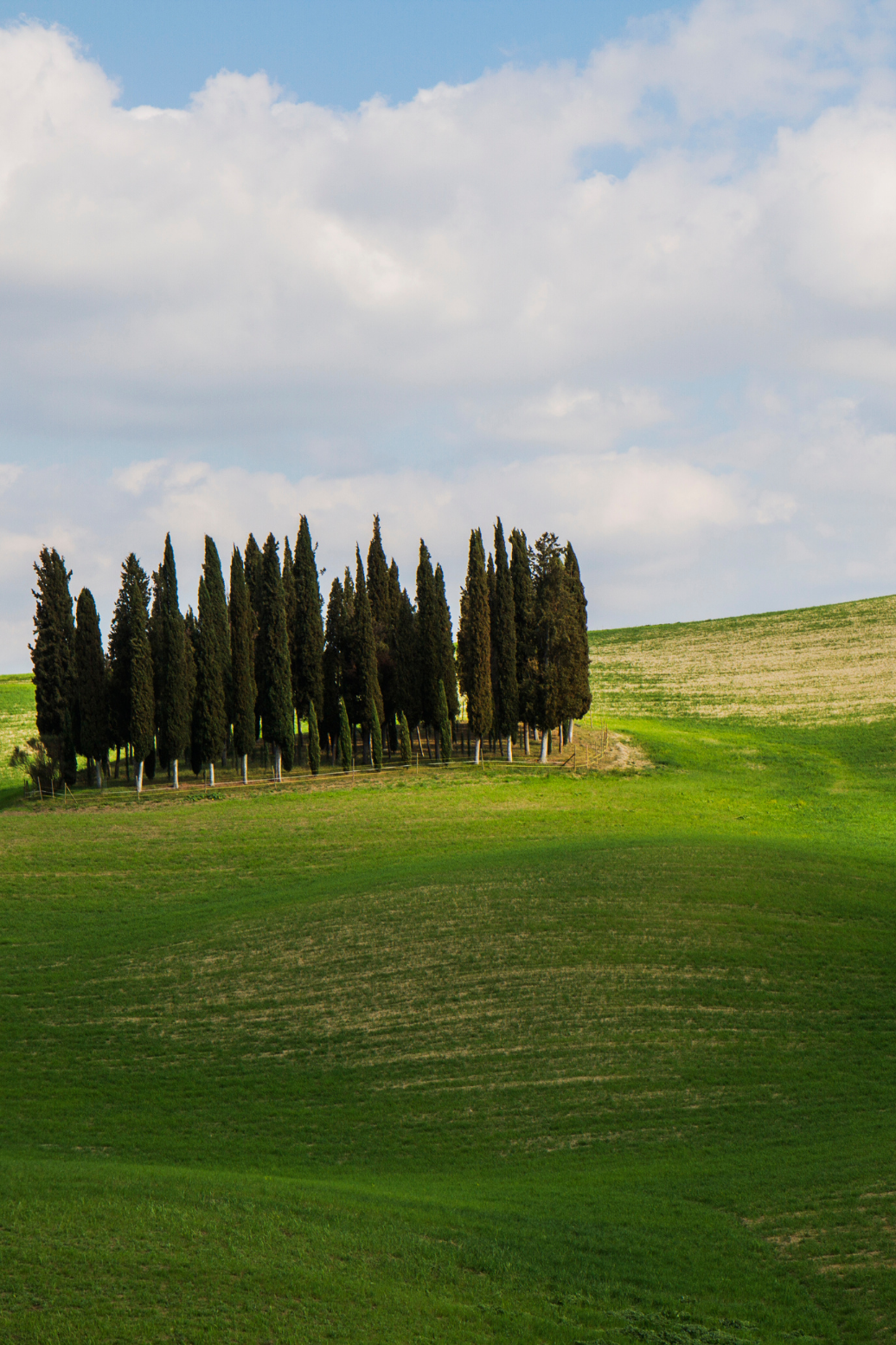 Immagine dintorni 50